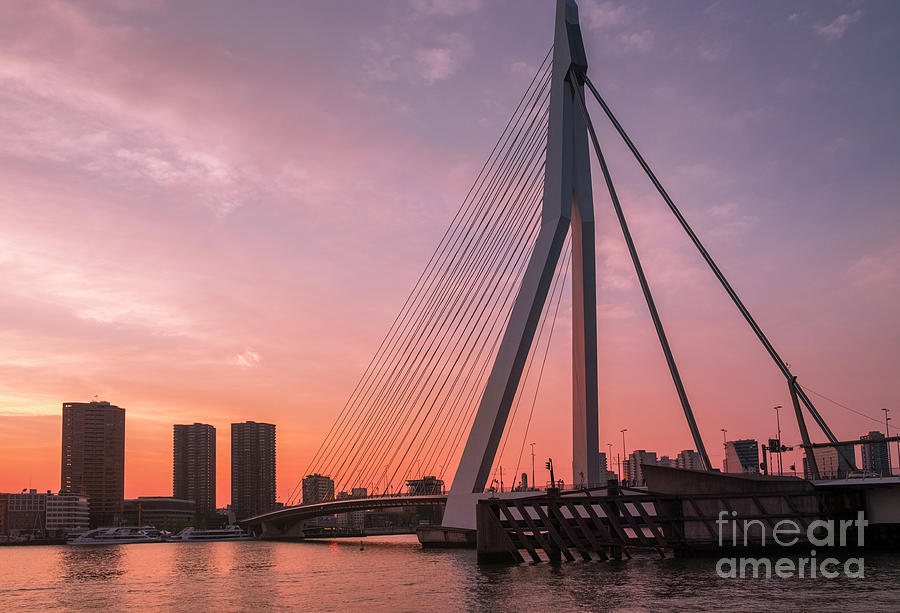 Sunset Photograph - City Skyline, Rotterdam by Philip Preston