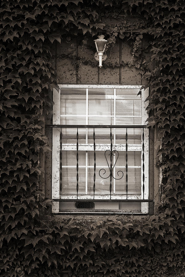City Window Detail Photograph by Dick Pratt
