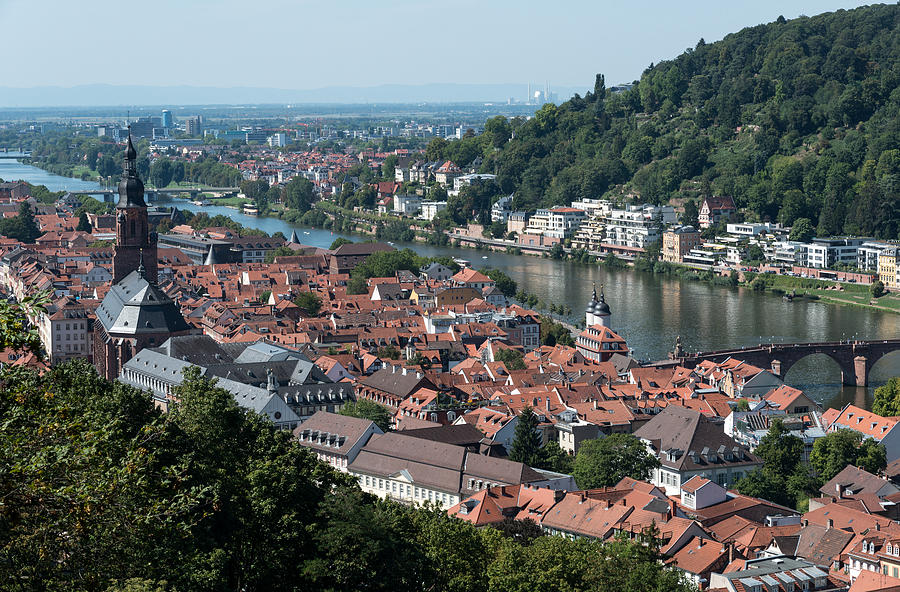 Cityscape  of Heidelberg in Germany Photograph by Michalakis Ppalis