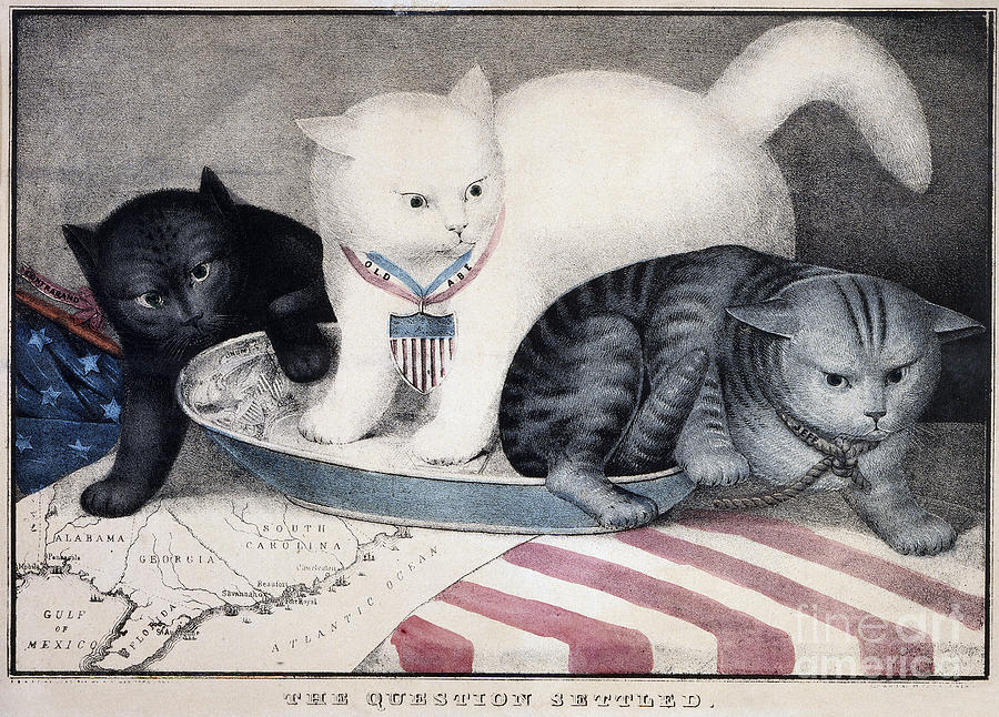 Cat Photograph - CIVIL WAR: CARTOON, c1865 by Granger