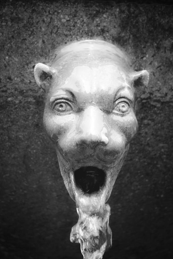 Fountain Photograph - Civit Head Detail by Teresa Mucha