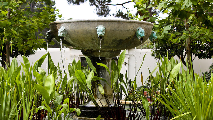 Civit Head Fountain Getty Villa Malibu California Photograph