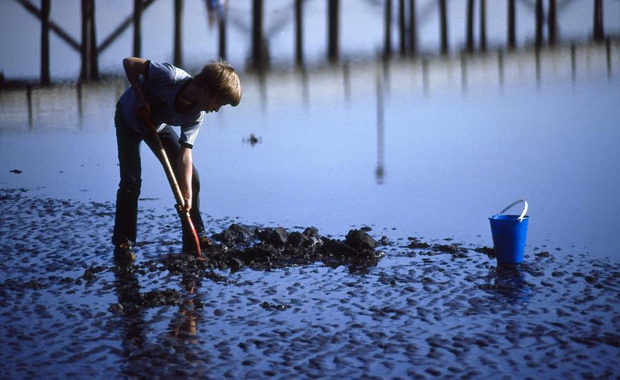 Clam Digger Photograph by Lyle Crump