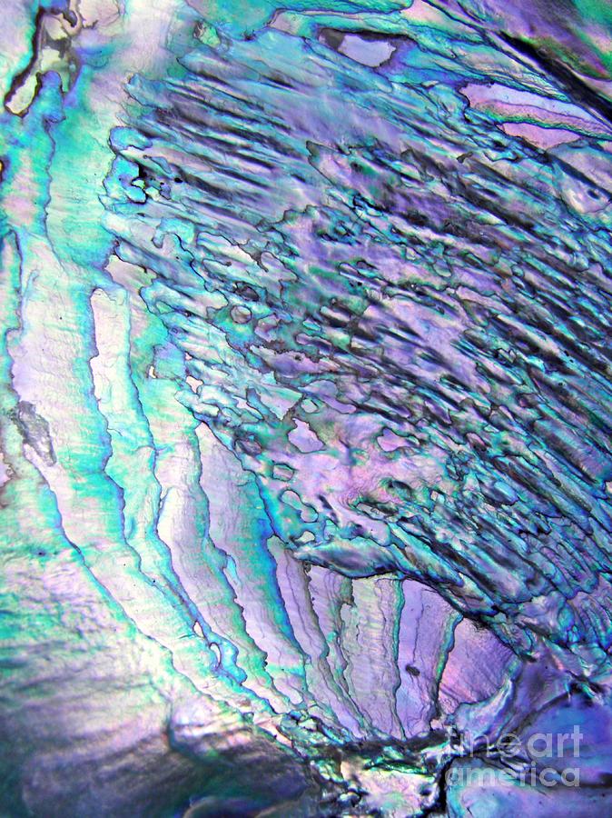 Abalone Shell Abstract 5     Photograph by Sarah Loft