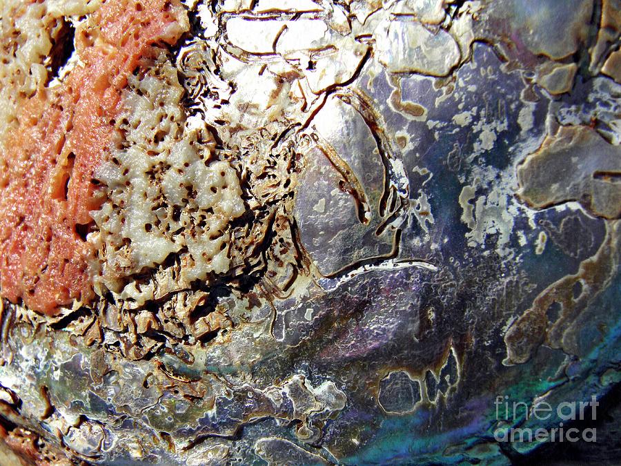 Abalone Shell Abstract 7 Photograph