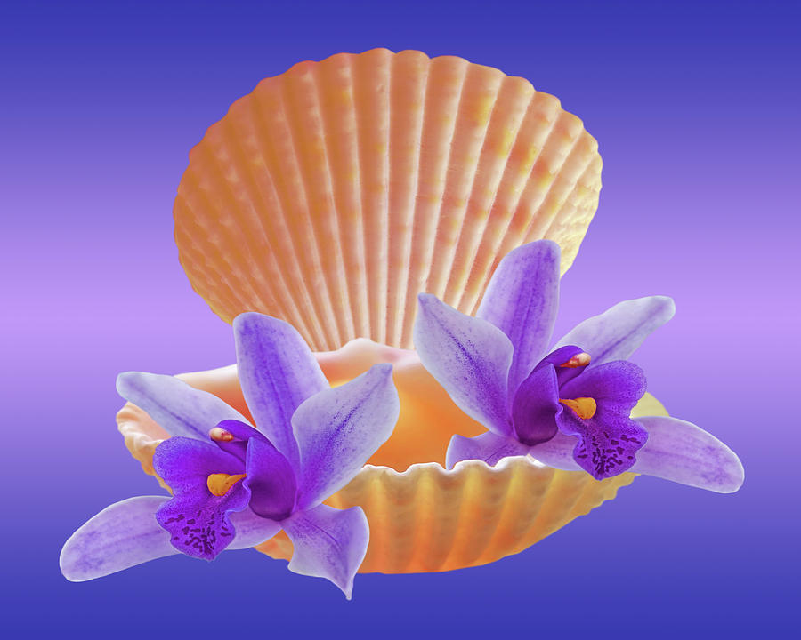 Clam Shell With Purple Orchids Photograph by Gill Billington