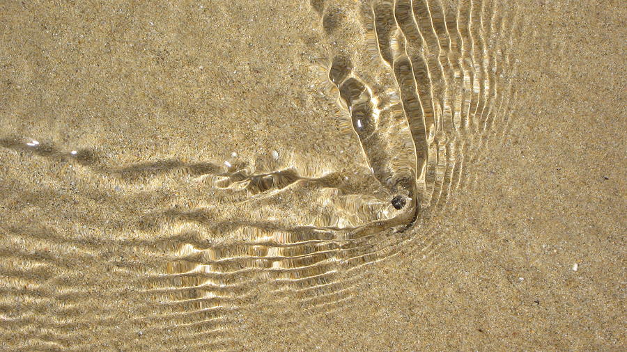 Sea Photograph - Clams and Ripples by Emma Frost