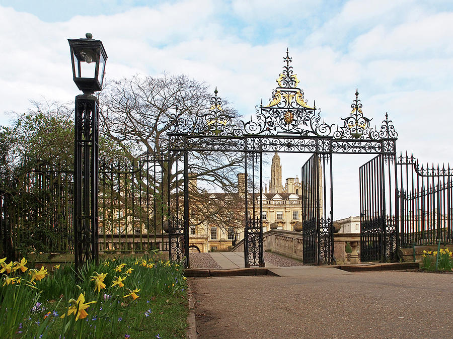 Clare College Gate Cambridge Photograph by Gill Billington