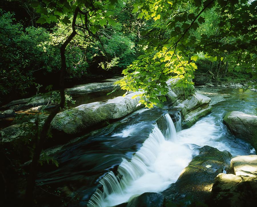 Landscape Photograph - Clare Glens, Co Clare, Ireland by The Irish Image Collection 