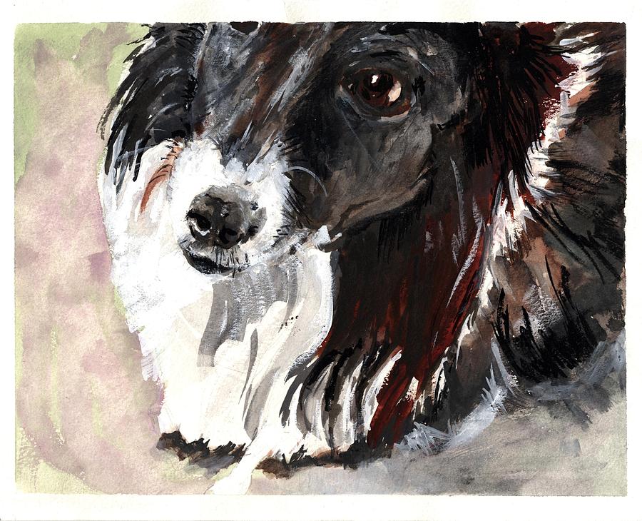 Clare Island Dog Painting by Kathleen Barnes