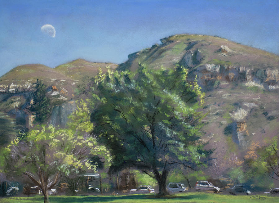 Clarens Square Pastel by Christopher Reid