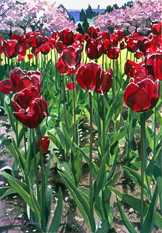 Claret Tulips Painting
