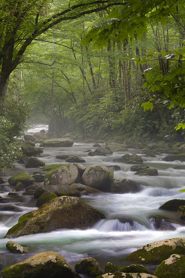 Big Creek Trail Photograph by Nunweiler Photography