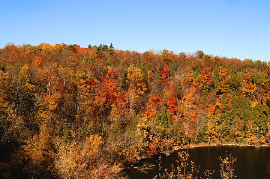 Clarks Reservation Photograph by David Stasiak