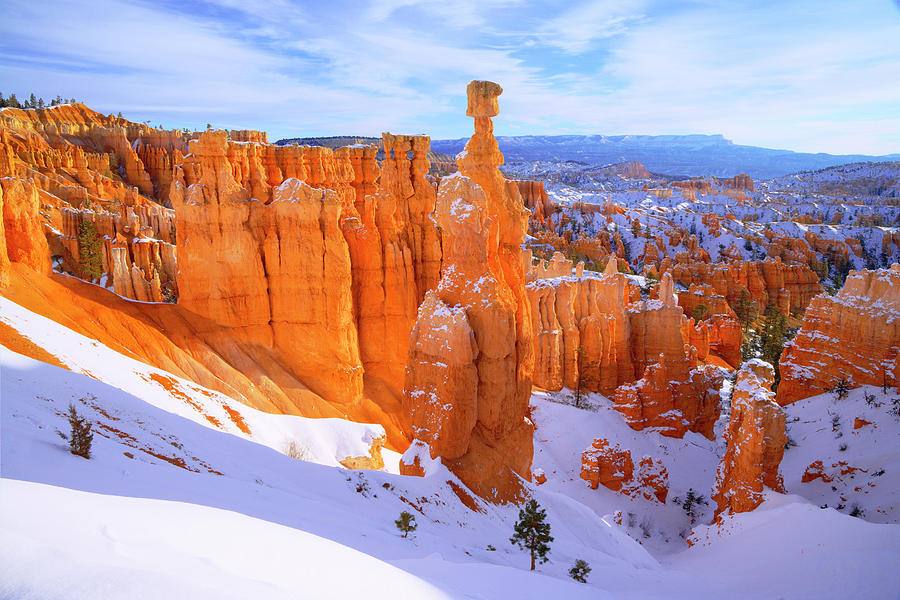 Bryce Canyon Photograph - Classic Bryce by Chad Dutson