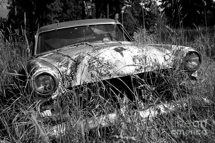 Classic Car Buried in the Weeds Photograph by Denise Bruchman