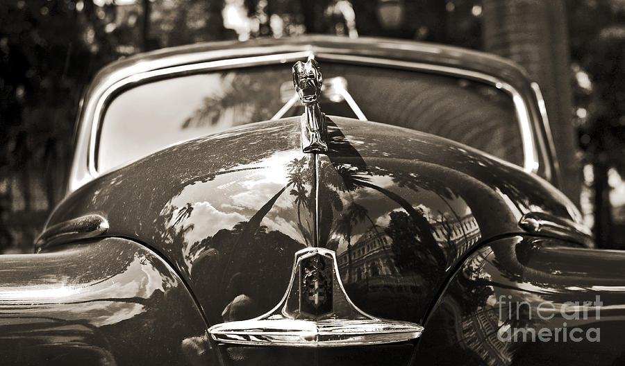 Classic Car Detail - Dodge 1948 Photograph by Carlos Alkmin