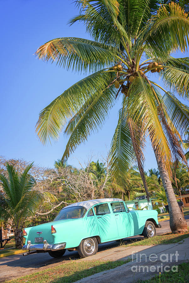 Classic car in Playa Larga, Cuba Photograph by Delphimages Photo Creations