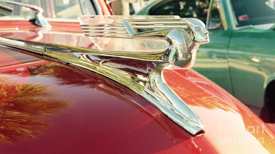 Classic Cars - 1941 Chevy Special Deluxe Business Coupe - Flying Lady hood ornament Photograph by Jason Freedman