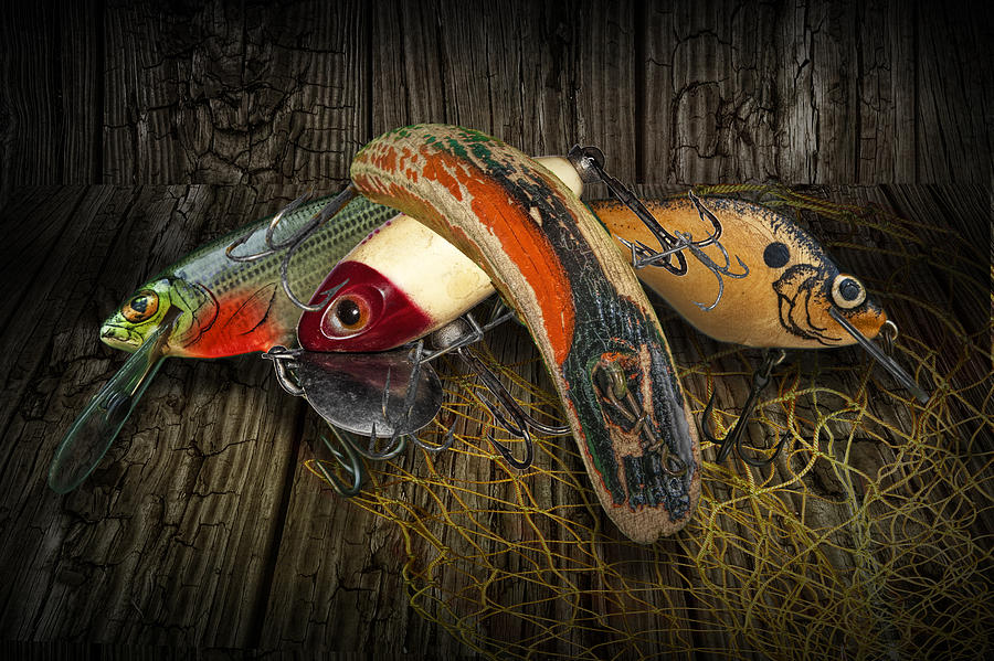 Fish Photograph - Classic Crankbaits by Randall Nyhof