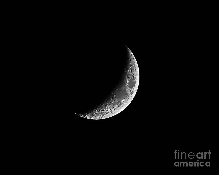 Classic Crescent Cropped Photograph by Al Powell Photography USA