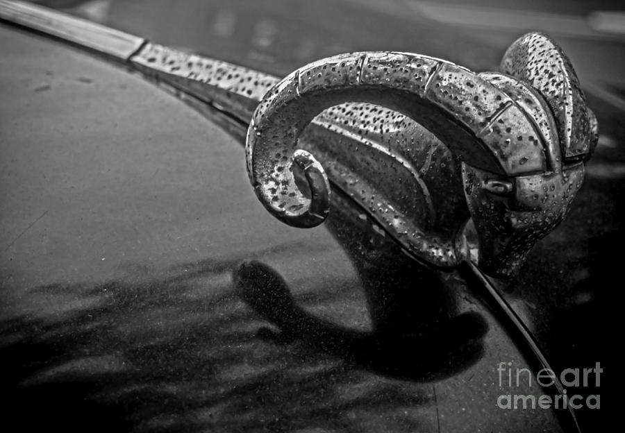 Classic Dodge Ram Hood Ornament Photograph by James Aiken