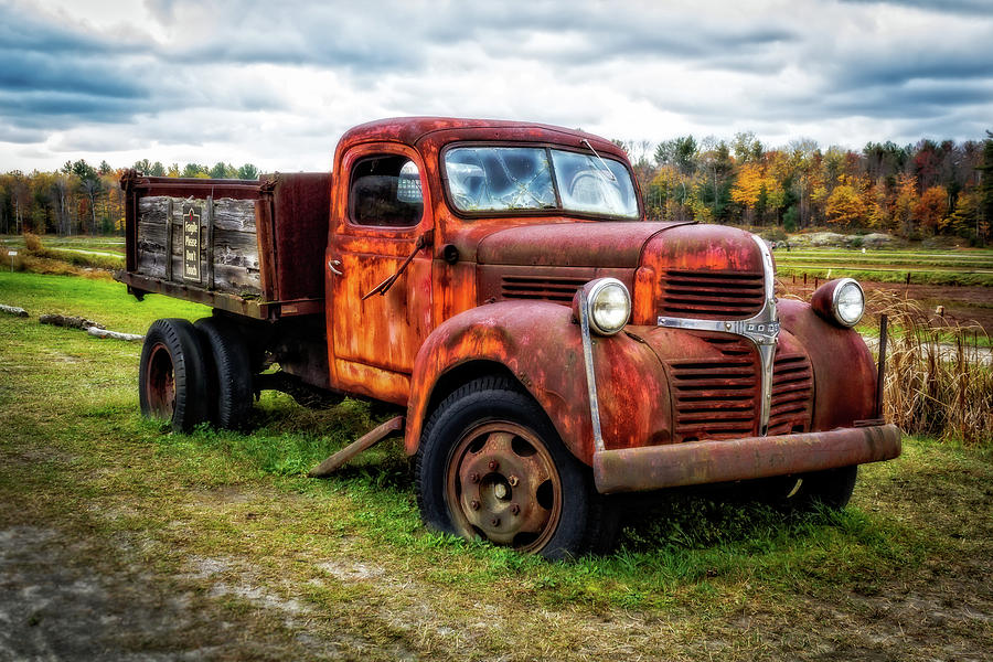 Classic Dodge Truck Photograph by Robert Alsop