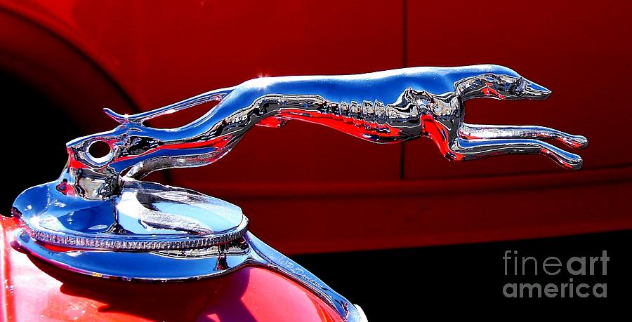Classic Ford Greyhound Hood Ornament Photograph by Pat Davidson