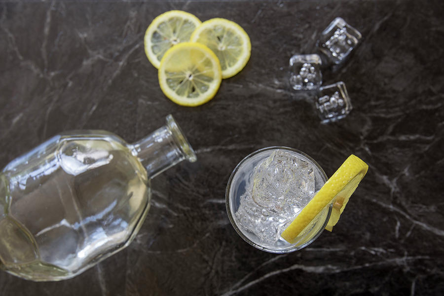 Classic gin and tonic with lemon Photograph by Karen Foley