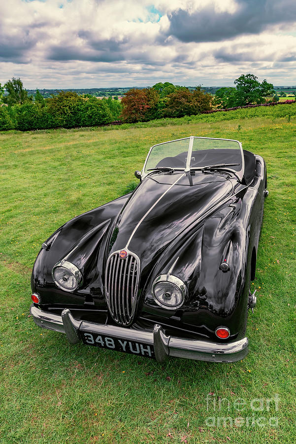 Classic Jag Photograph by Adrian Evans