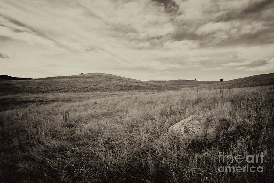 Classic Prairie Photograph by Steve Triplett