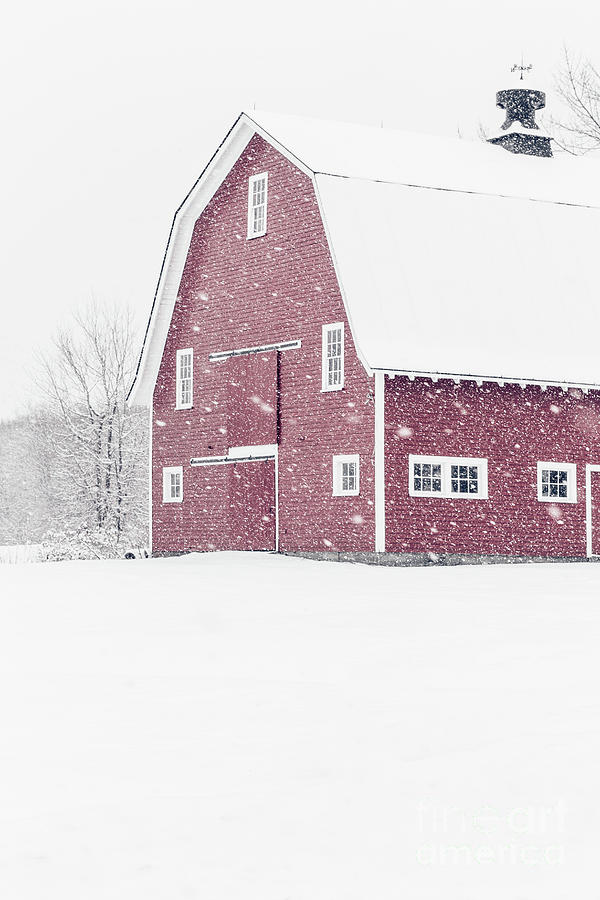 Classic Red New England Barn during a snowstorm Photograph by Edward Fielding