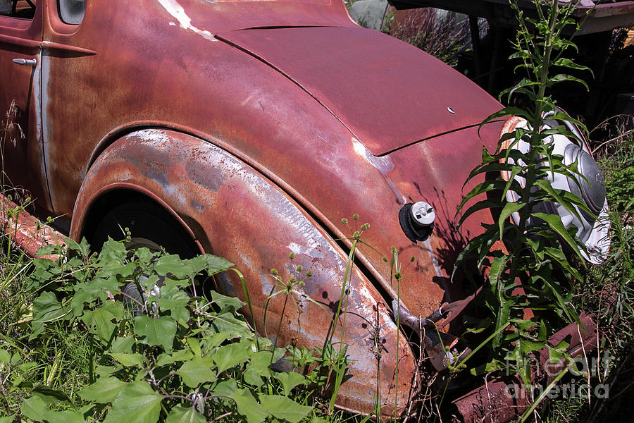 Classic Rumble Seat Car Photograph by Sue Huffer | Pixels