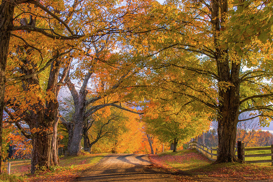 Classic Vermont Fall Photograph by Tim Kirchoff