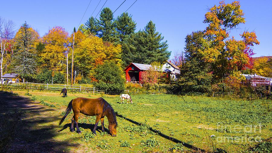 Classic Vermont Scene. Photograph by New England Photography