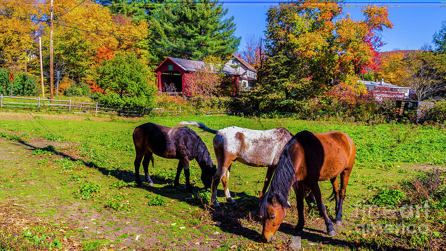 Classic Vermont Scene Photograph by Scenic Vermont Photography