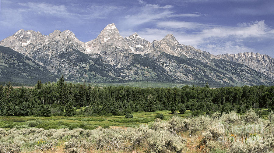 Classic View of the  GrandTetons Photograph by Sandra Bronstein