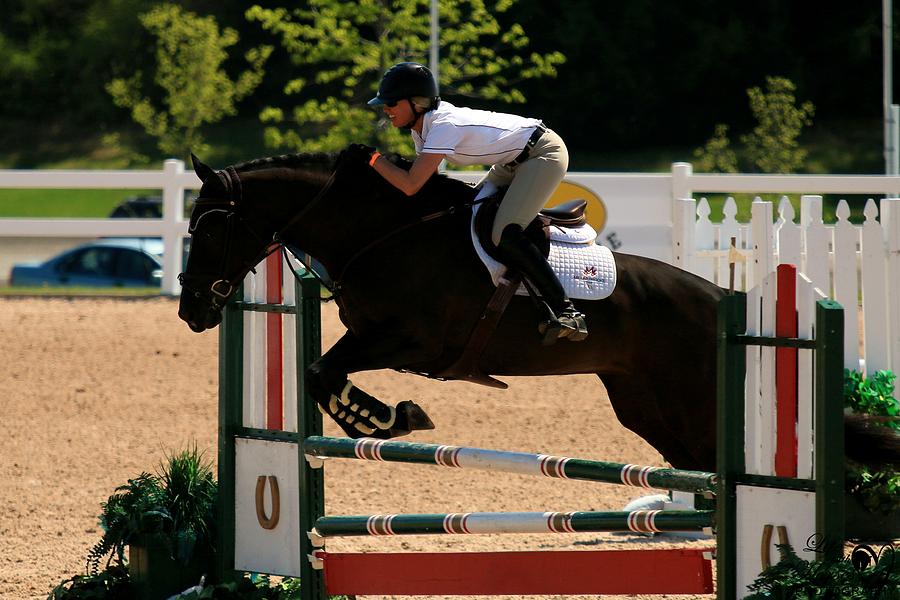 Classic1-th-jumper7 Photograph by Life With Horses - Fine Art America