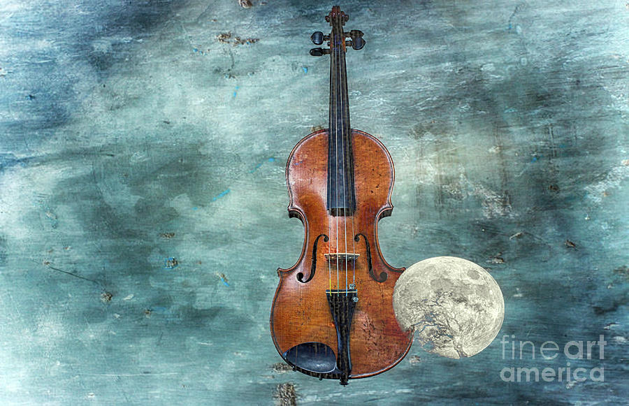 Violin Photograph - Classical Space by Steven Digman Violin Photograph - Classical Space by Steven Digman