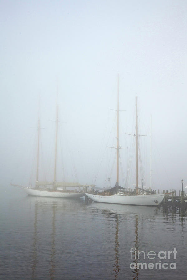 Classics in the Fog Photograph by Butch Lombardi