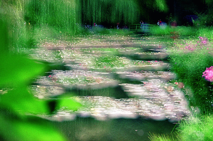 Claude Monets Water Garden Giverny 1 Photograph by Dubi Roman