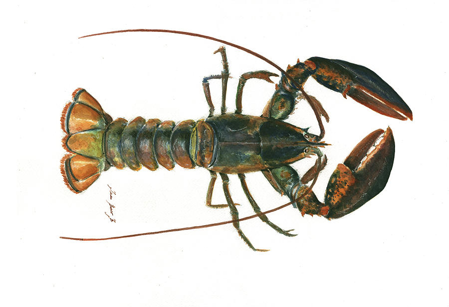 Clawed lobster art Painting by Juan Bosco