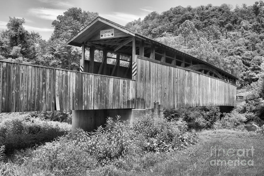 Claycomb Bridge In The Forest Black And White Photograph by Adam Jewell