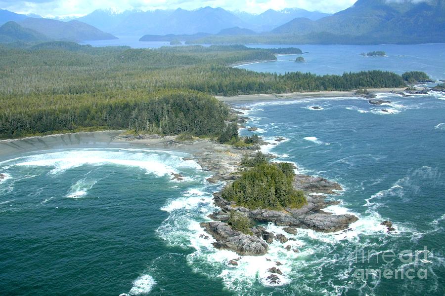 Tree Photograph - Clayoquot Sound by Frank Townsley