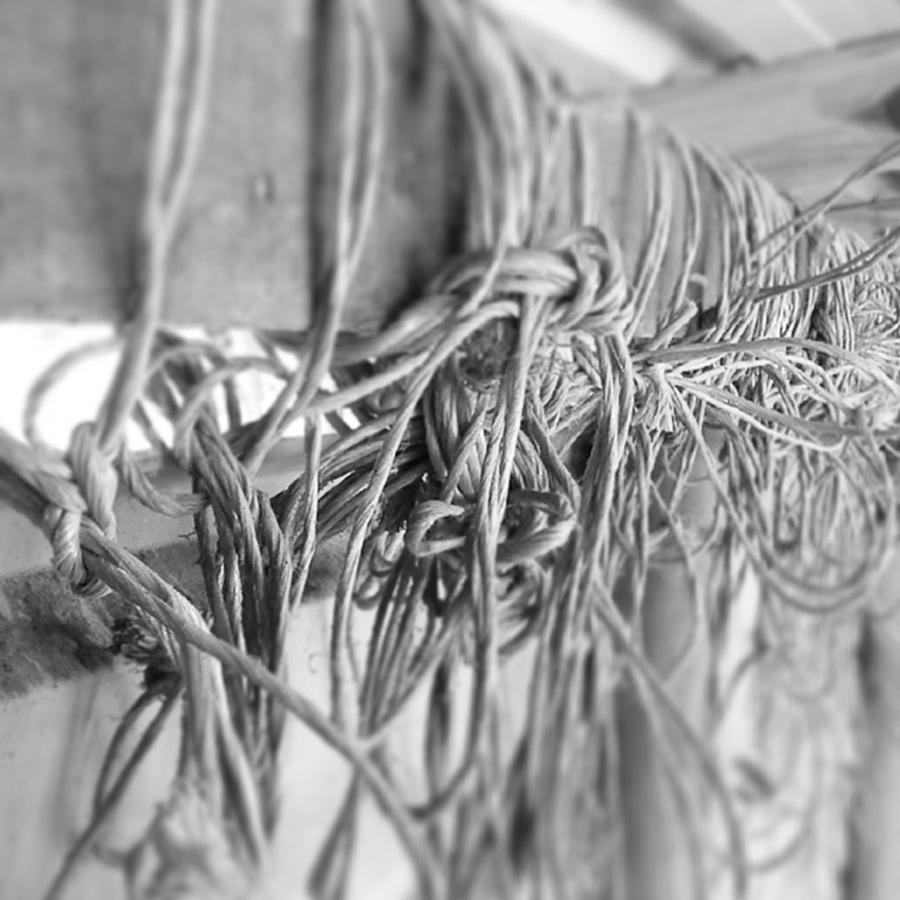Knotted Photograph - Cleaning Out The #stable Today by Deb Billing