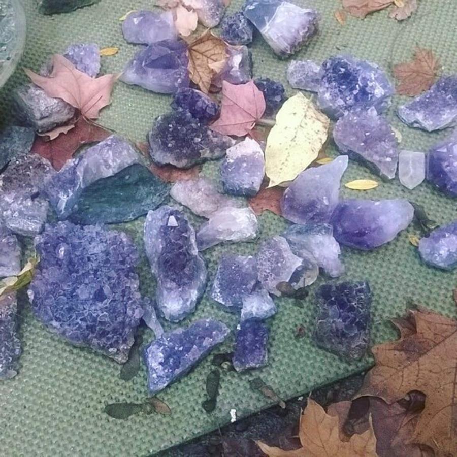 Cleaning Some Of My Amethysts And Photograph by Stephanie Piaquadio