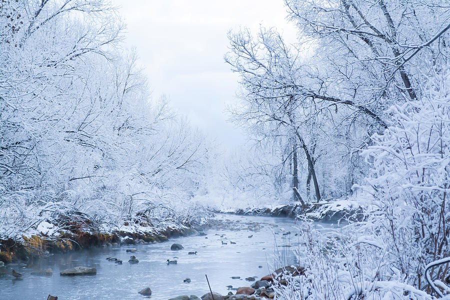 Clear Creek on a Snowy Day Photograph by MKD Lincoln