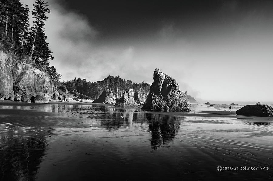 Clear Day At Ruby Beach Photograph by Cassius Johnson