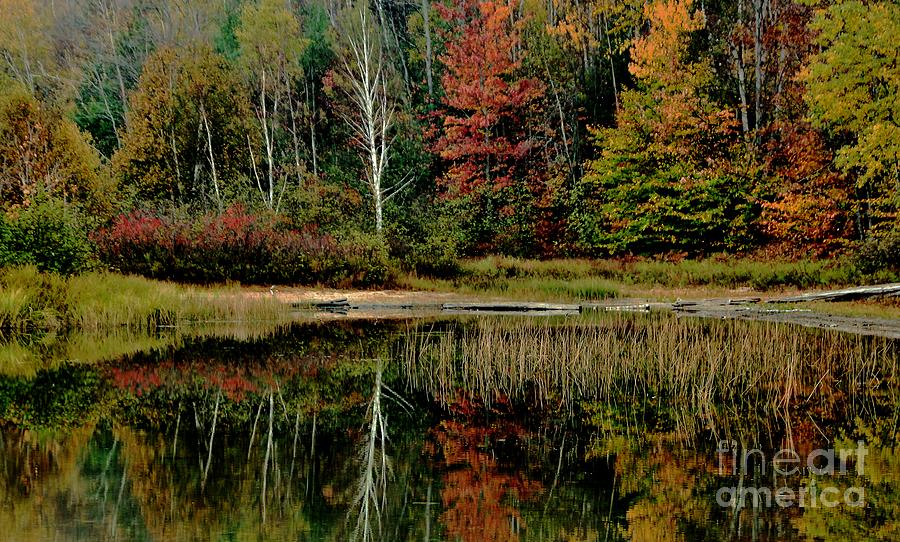 Clear Lake in Autumn Photograph by Matthew Winn