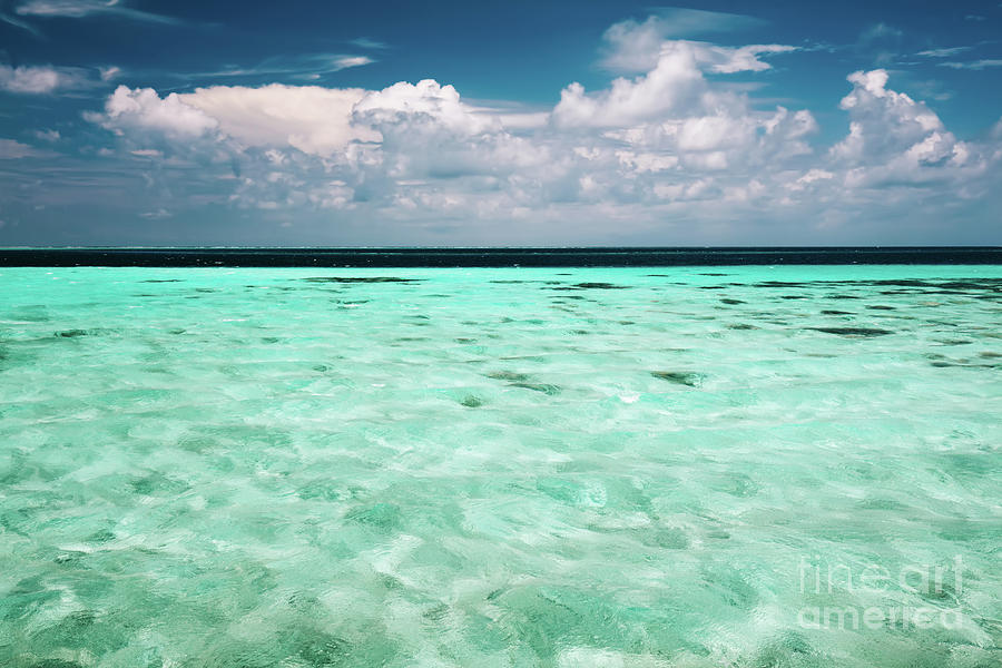 Clear ocean water and a cloudy blue sky Photograph by Michal Bednarek